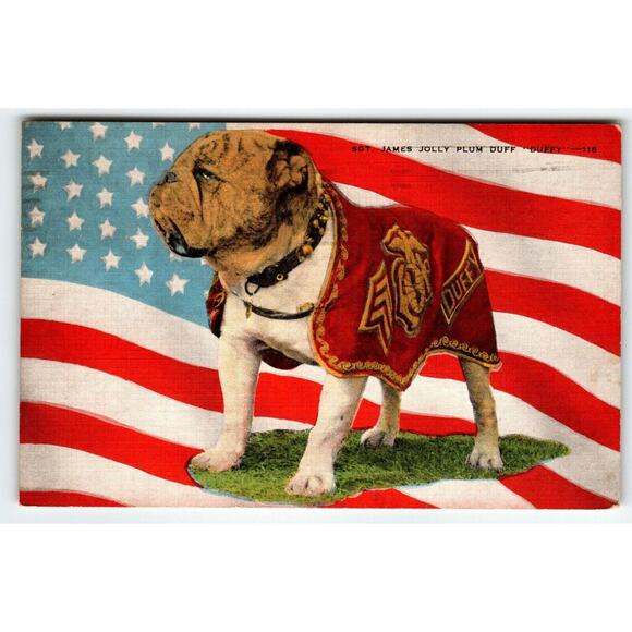 Sgt James Jolly Duff Duffy Bulldog Dog San Diego Marines Military Postcard 1943 - Picture 1 of 2
